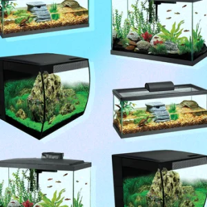 Tanks & Aquariums